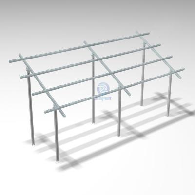 Carbon Steel Dual Pille Solar Modules Ground Mounting Structure